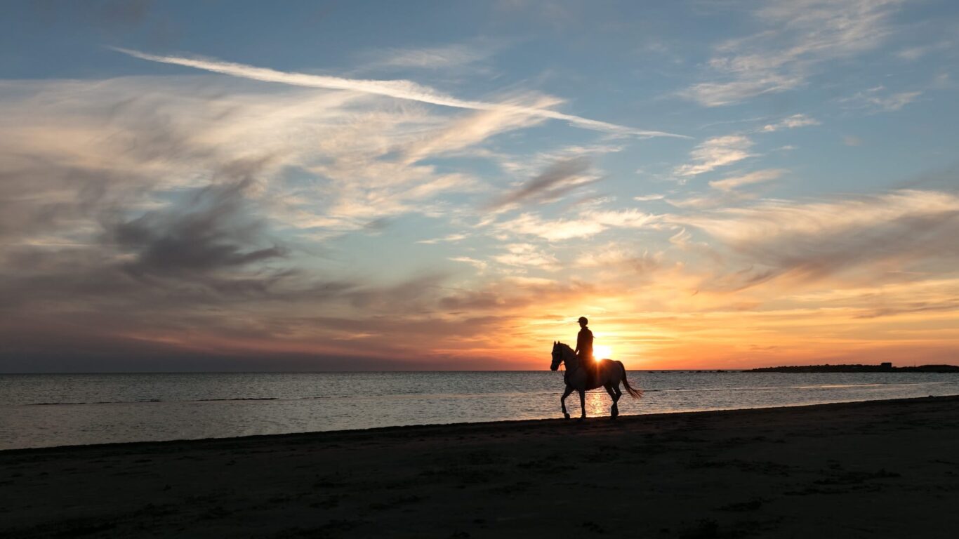 dingle-skellig-horse-riding