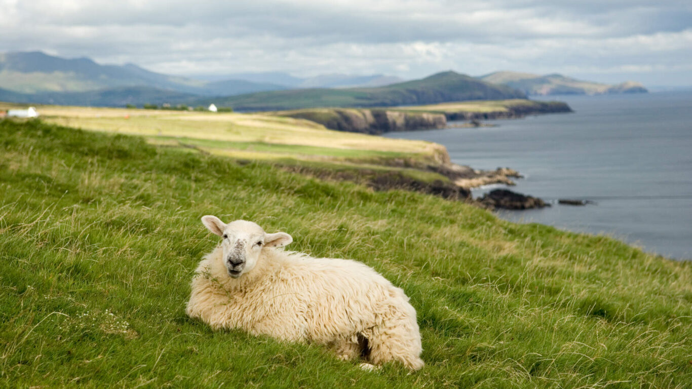 Dingle Peninsula_Web Size (2)