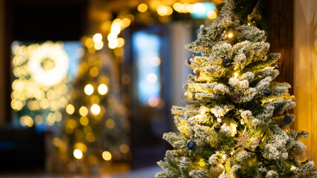 Frosted Christmas tree decorated with lights and ornaments indoors, with another illuminated tree blurred in the background.