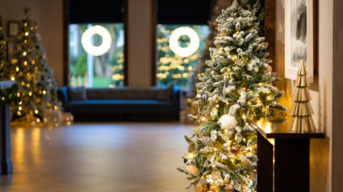 A decorated Christmas tree with lights and ornaments stands near a wall; another lit tree and circular window decorations are visible in the background.