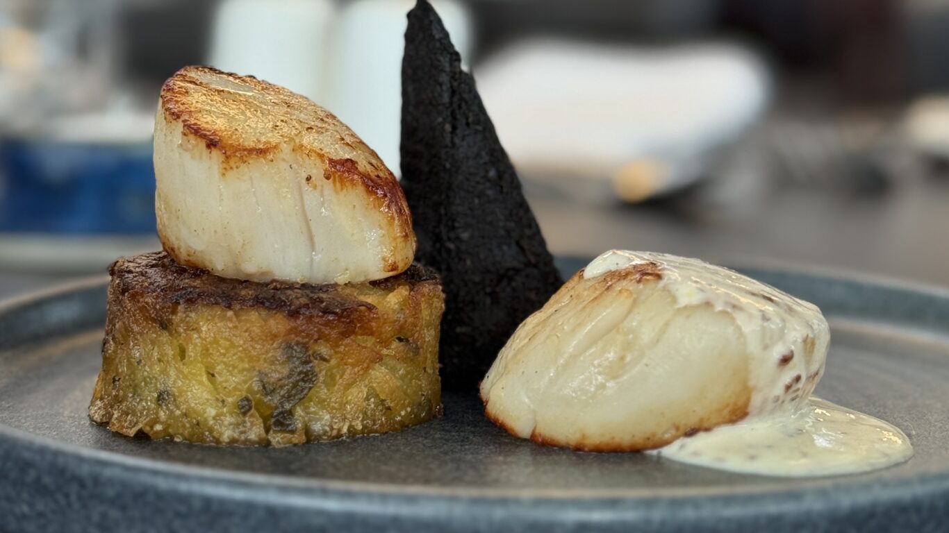 Two seared scallops plated with a round vegetable cake, a black triangular crisp, and a creamy white sauce on a gray dish.