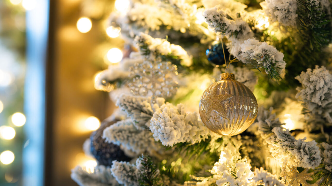 Close-up of a decorated Christmas tree with snow-covered branches, featuring a gold ornament and warm white lights.