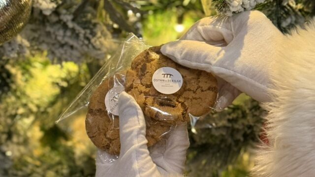 A person in white gloves holds two oatmeal cookies in clear packaging in front of a decorated, snow-covered Christmas tree.